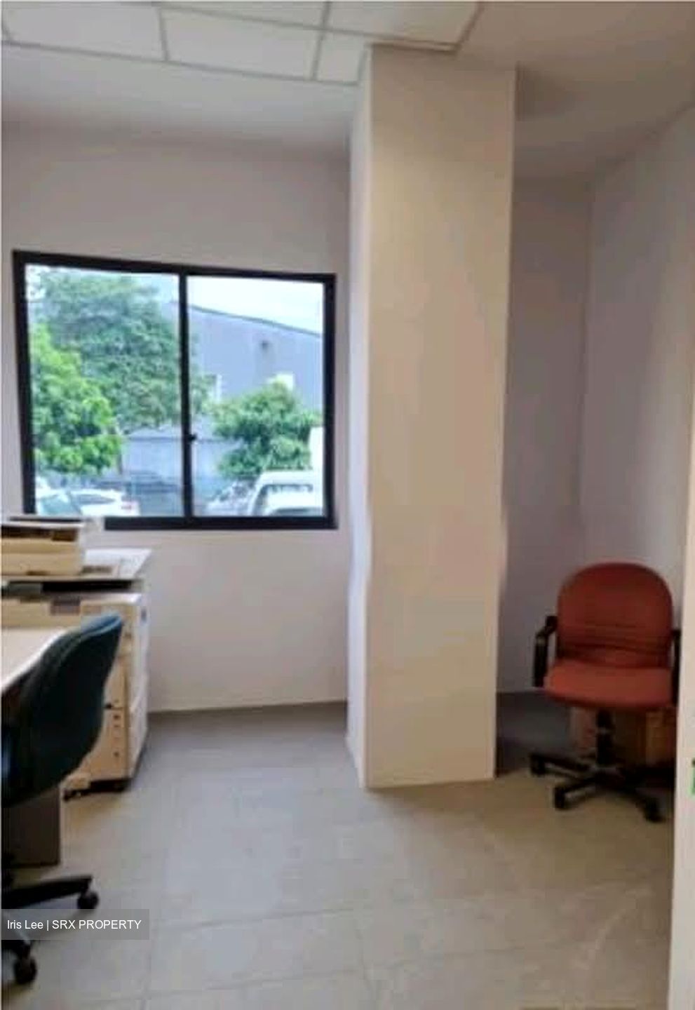 Owl International (D22), Factory #547286361